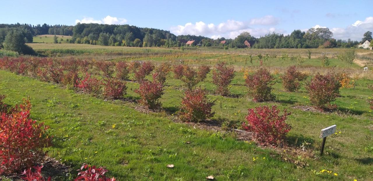 E Berry Farm - Slow Life Kaluzna Esterno foto
